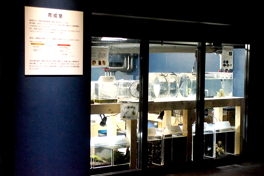 育成室開放 (11/18(土)、12/16(土)、1/20(土)、2/17(土)、3/16(土))