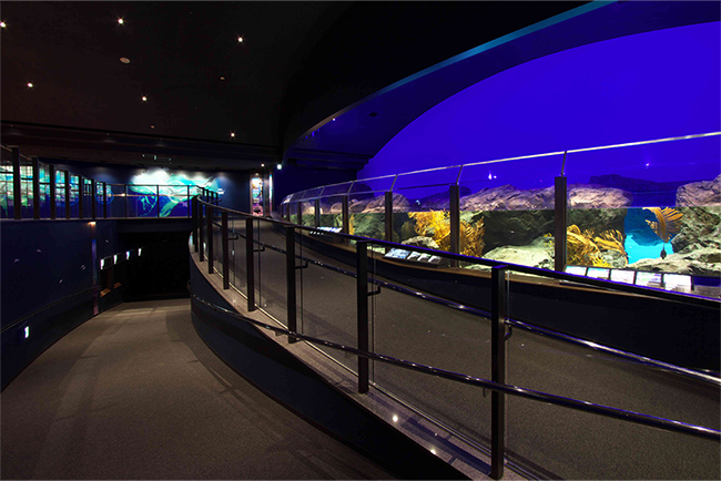 Niigata City Aquarium Marinepia Nihonkai Encounter 20,000 Living Creatures of 450 Species