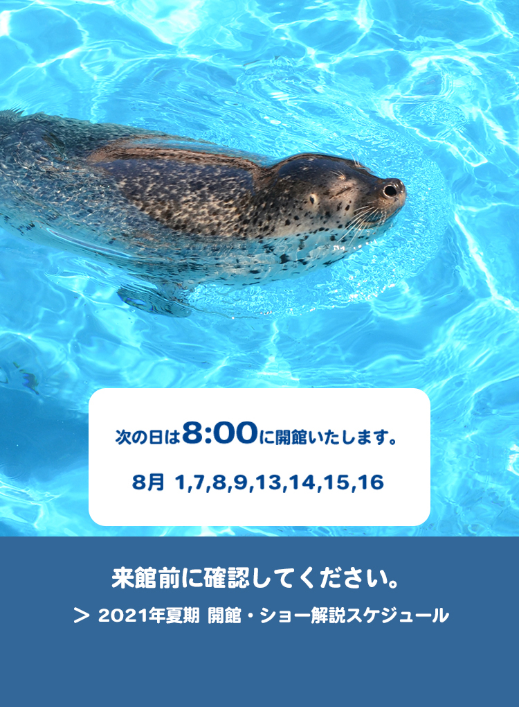 新潟市水族館瑪淋匹亞日本海 新潟市水族館マリンピア日本海 新潟市水族館瑪淋匹亞日本海 新潟市水族館マリンピア日本海