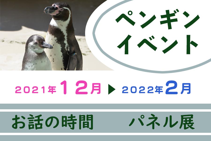 ペンギンイベント(お話の時間 パネル展)12月～2月