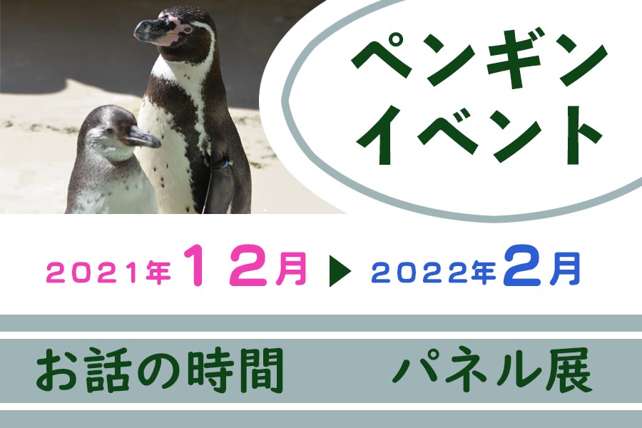 ペンギンイベント(お話の時間 パネル展)12月~2月