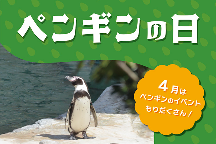 4月 ペンギンの日
