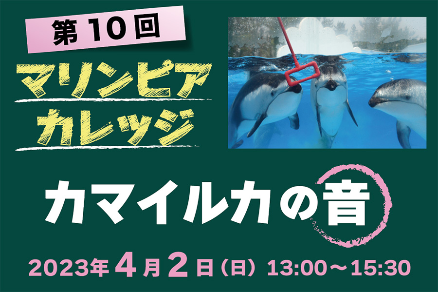 マリンピアカレッジ「カマイルカの音」4/2（日）※応募締切ました