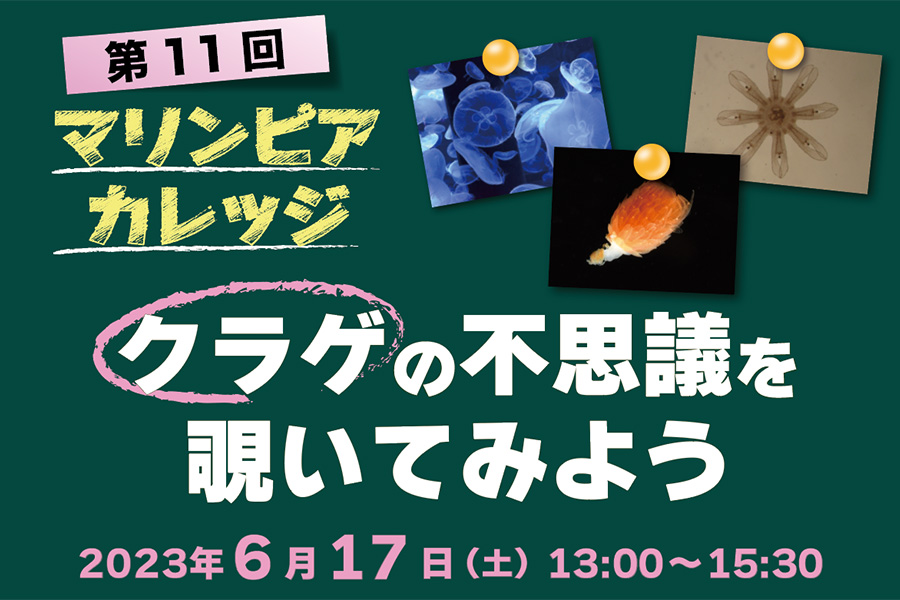 マリンピアカレッジ「クラゲの不思議を覗いてみよう」6/17（土）