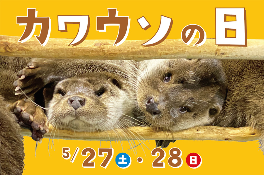 カワウソの日 関連イベント開催中