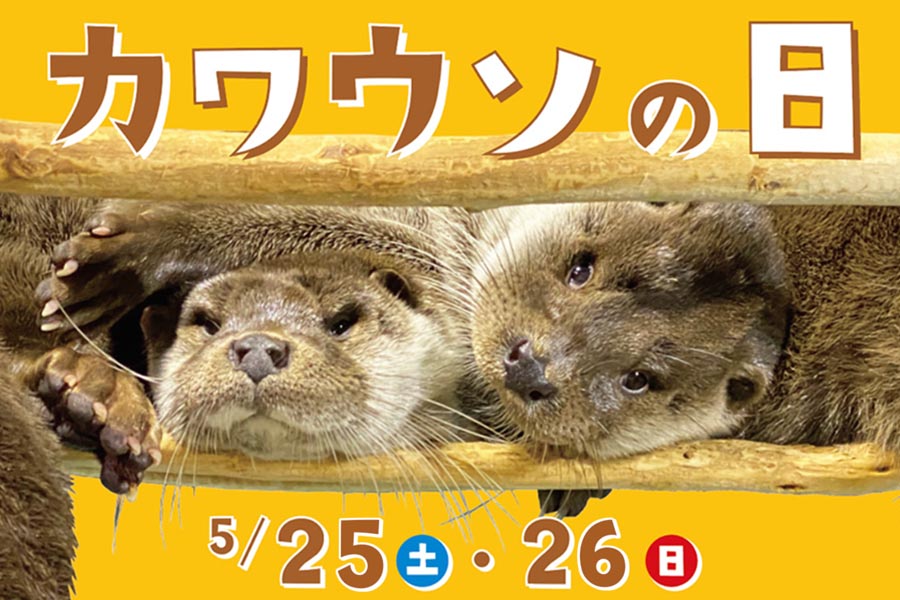 カワウソの日