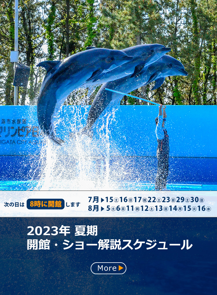 新潟市水族館 マリンピア日本海 