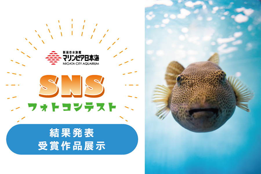 2023 夏 SNSフォトコンテスト結果発表、受賞作品展示