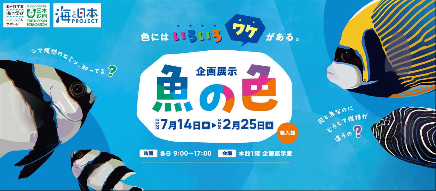 企画展示「魚の色」7/14（金）～