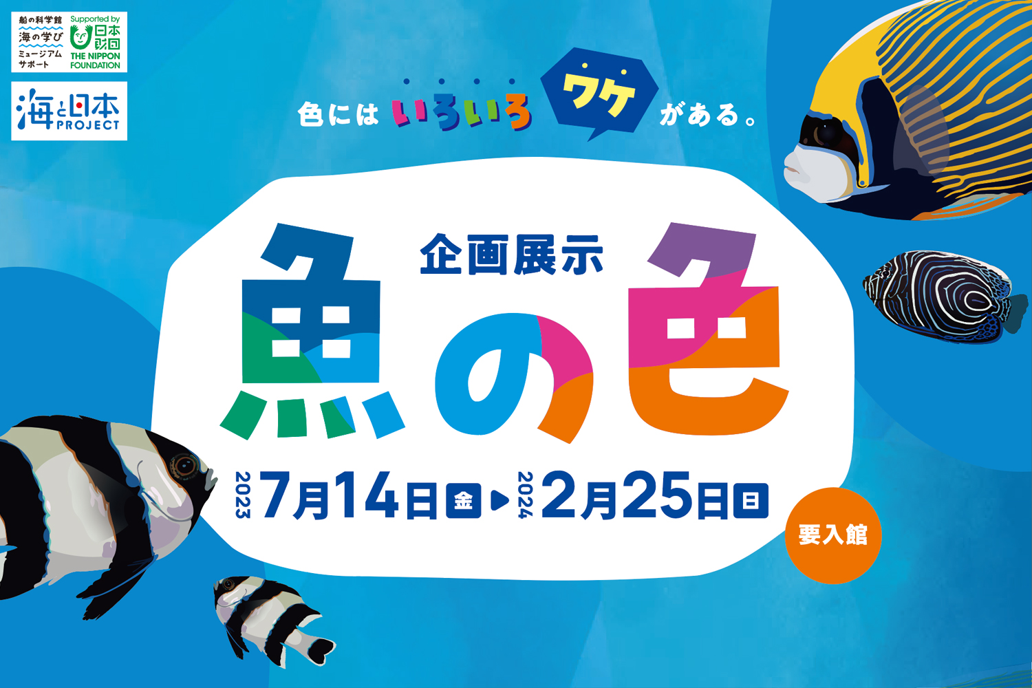 企画展示「魚の色」7/14（金）～