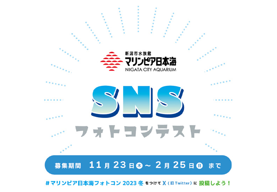 SNSフォトコンテスト作品募集（ X（旧Twitter）2023/11/23～2024/2/25）