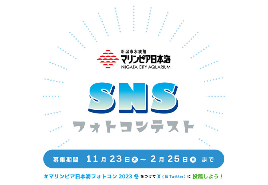 SNSフォトコンテスト作品募集（ X（旧Twitter）2023/11/23～2024/2/25）※募集終了しました