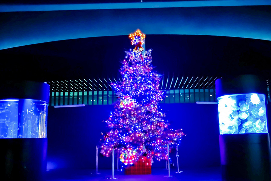 クリスマスツリー展示  11月23日～12月28日