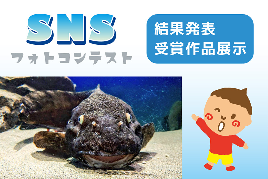 2023 冬 SNSフォトコンテスト結果発表、受賞作品展示