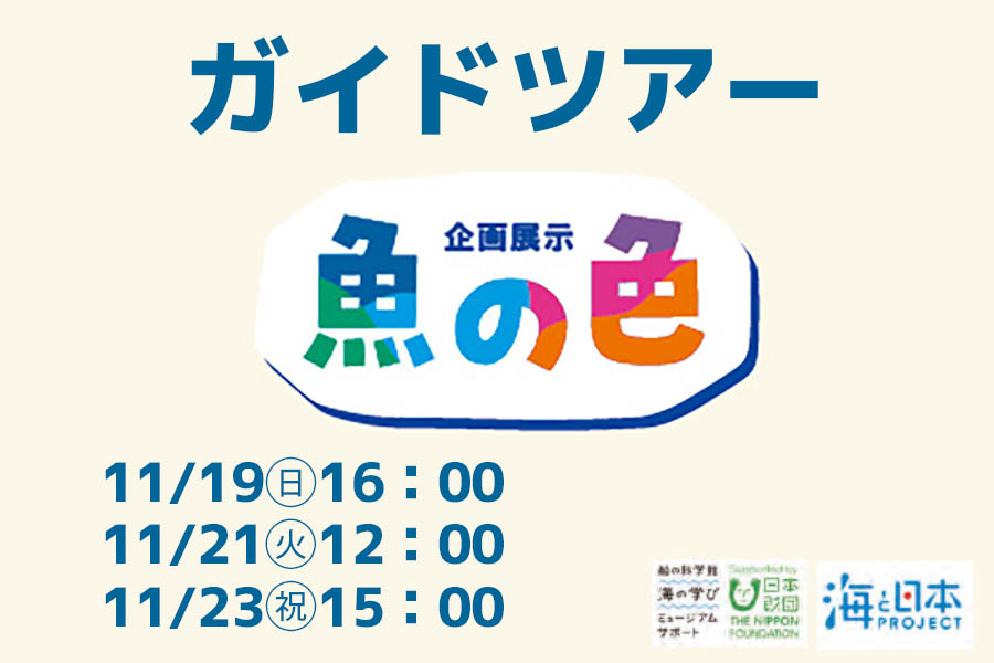 企画展示 魚の色 ガイドツアー