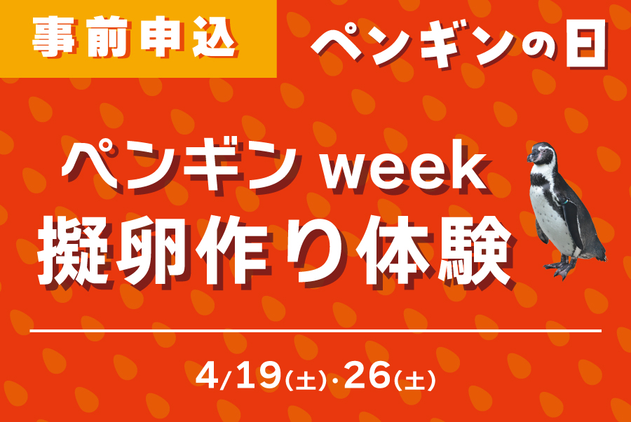 ペンギンの日 ペンギンweek擬卵作り体験