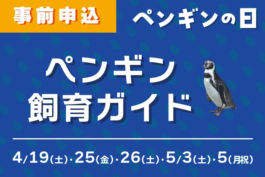 ペンギンの日 ペンギン飼育ガイド
