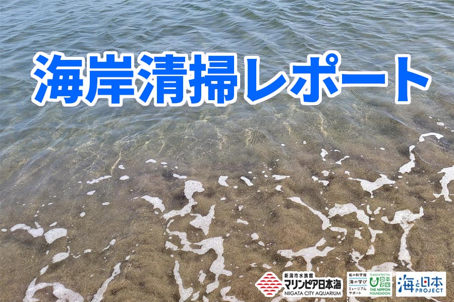 （開催レポート）第6回海岸清掃11/4