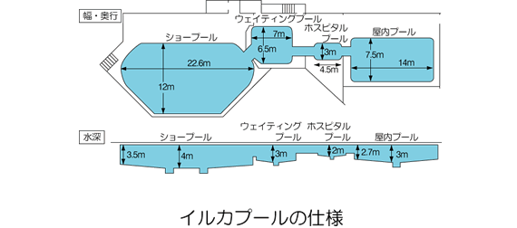 イルカプールの仕様 図表