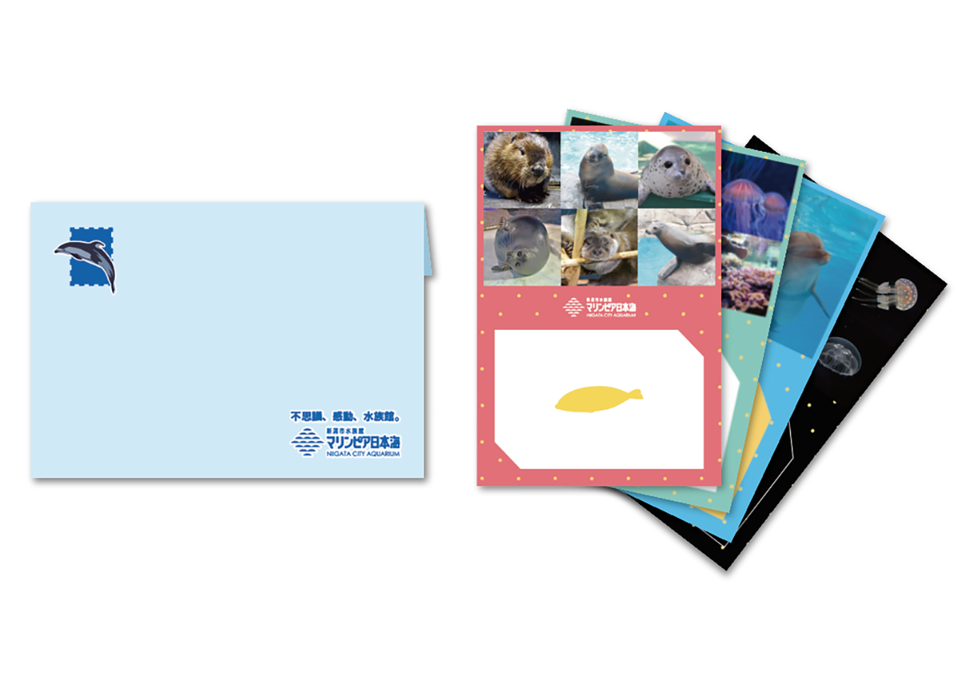 水族館 マリンピア日本海  年間パスポート １人分 年間パスポート | 新潟市水族館 マリンピア日本海