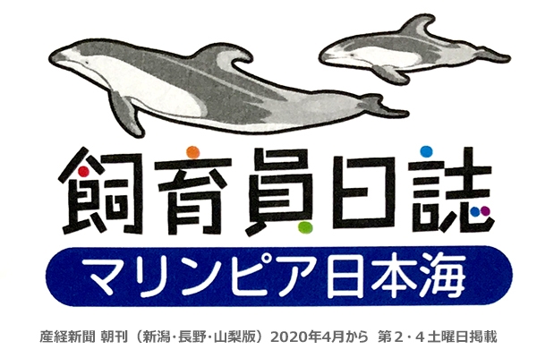 マリンピア日本海飼育員日誌バナー