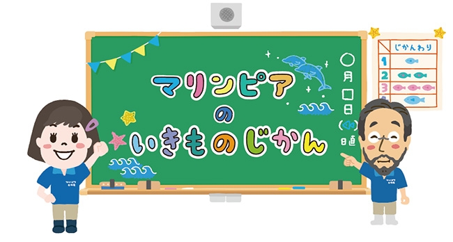 マリンピアのいきのもじかん