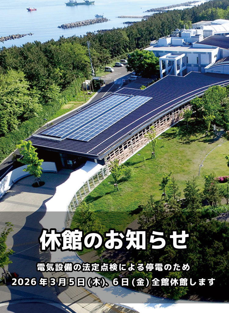 新潟市水族館 マリンピア日本海