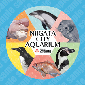 水族館 マリンピア日本海  年間パスポート １人分 超オトク！マリンピア日本海の年間パスポート！ | 街ニュース | 新潟の