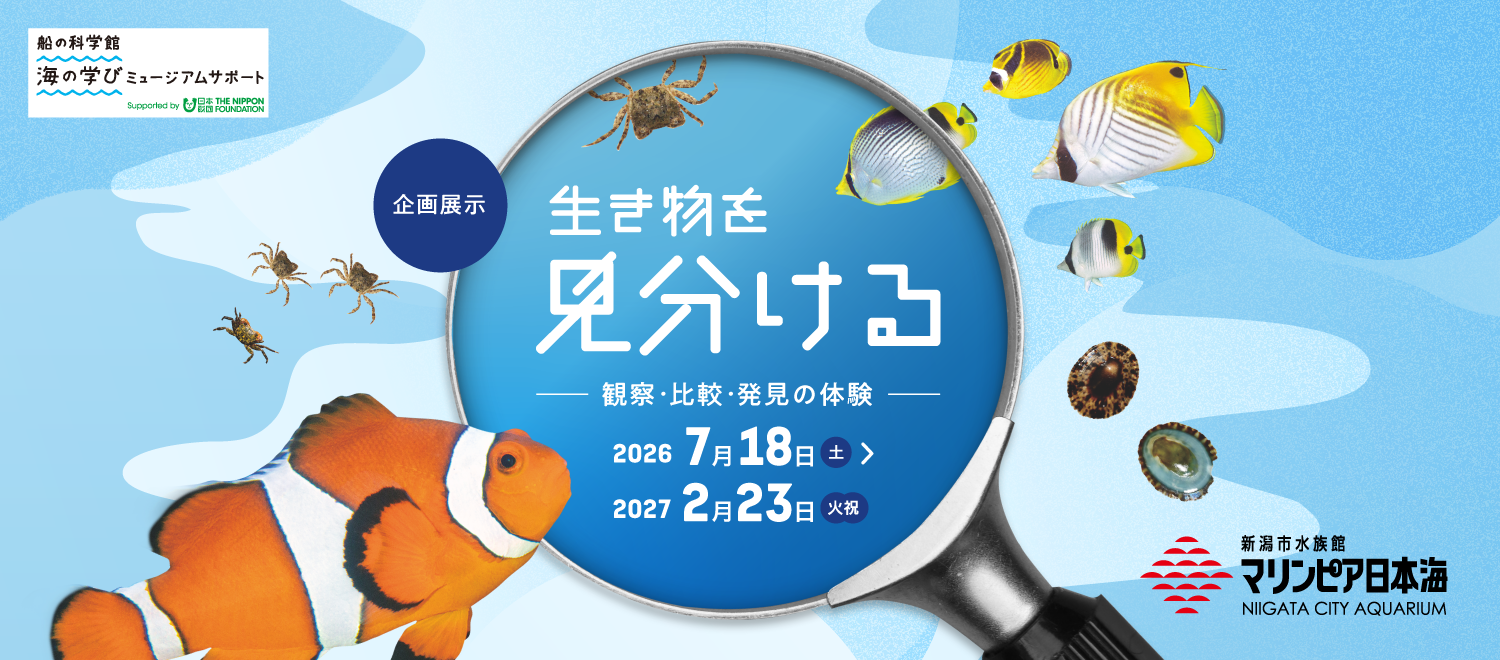 新潟市水族館 マリンピア日本海