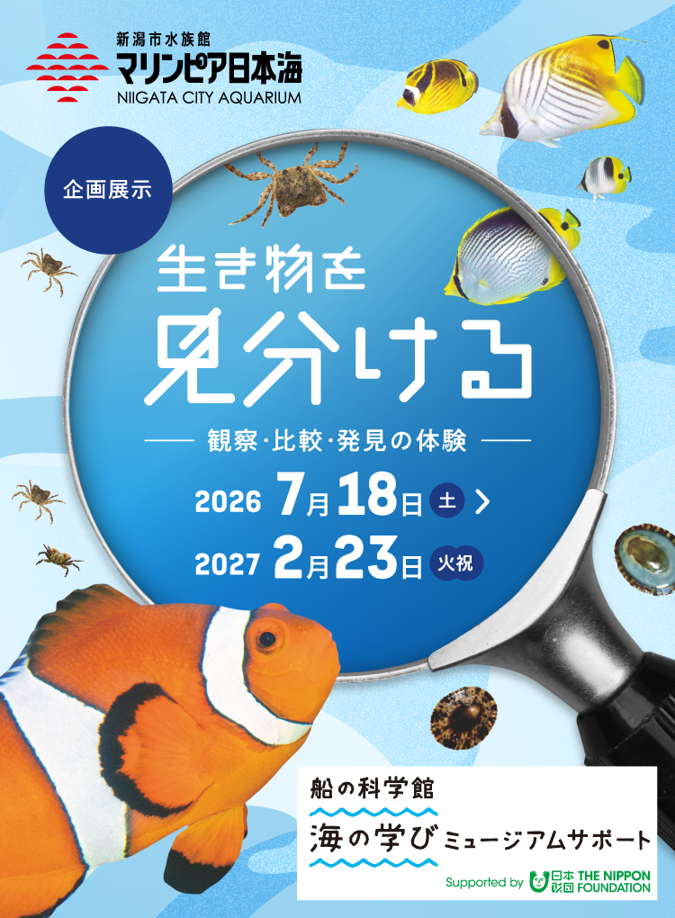 新潟市水族館 マリンピア日本海