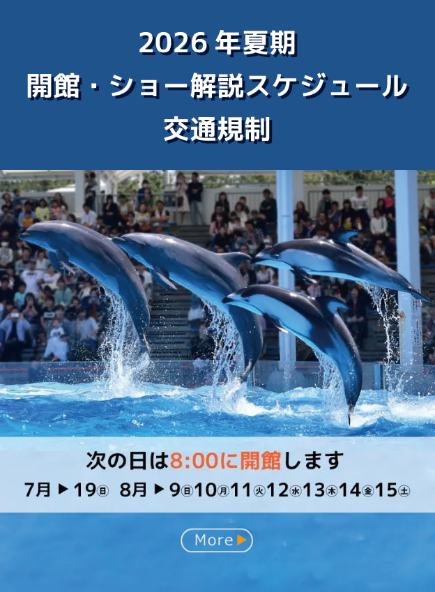 新潟市水族館 マリンピア日本海