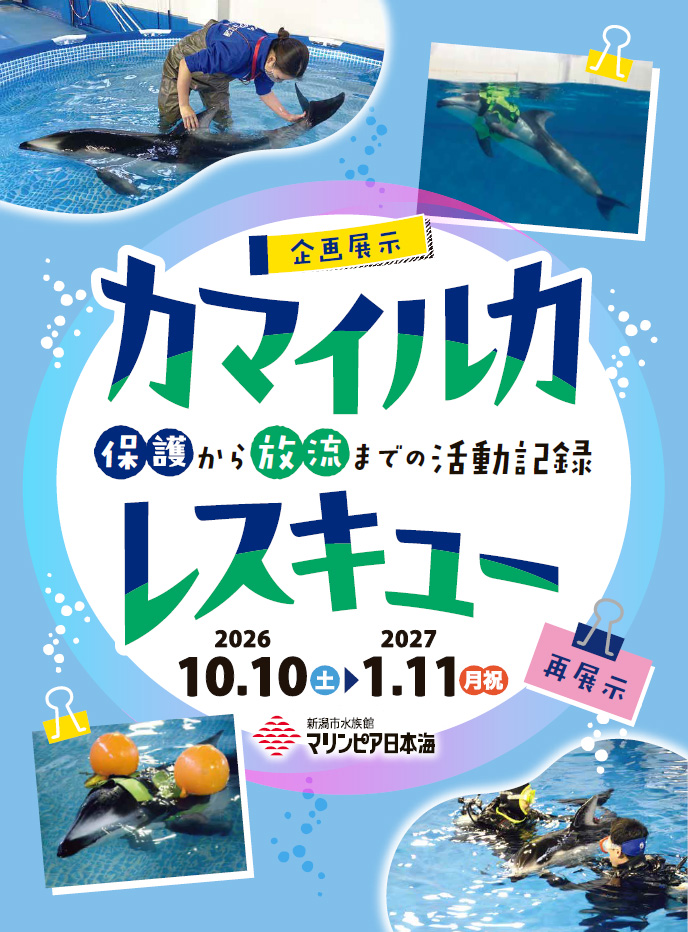 新潟市水族館 マリンピア日本海
