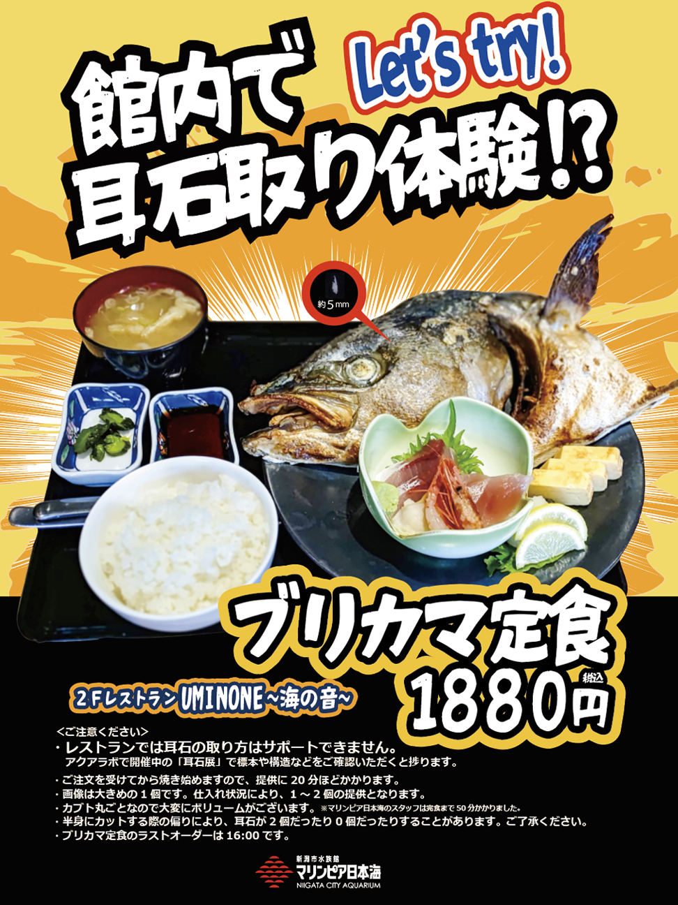 ショップ＆レストラン | マリンピア日本海からのお知らせ | 新潟市