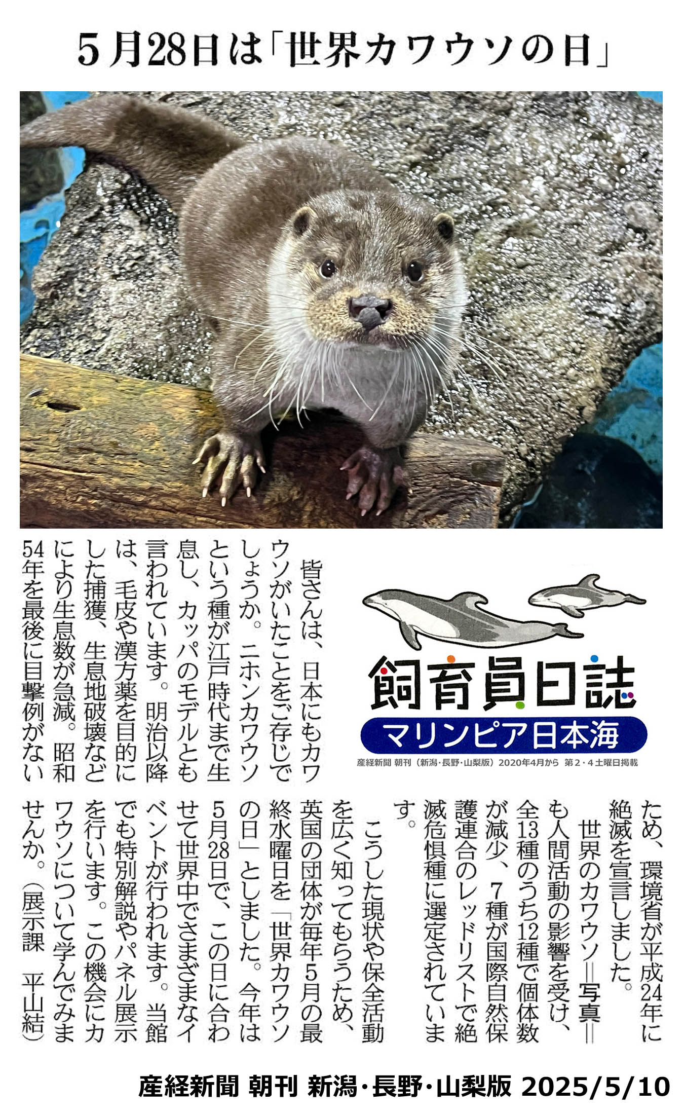 2ページ目 | いきもの | マリンピア日本海からのお知らせ | 新潟市