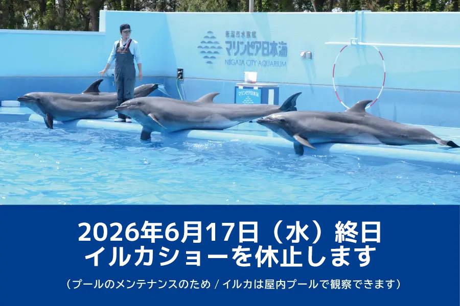 マリンピア日本海からのお知らせ | 新潟市水族館 マリンピア日本海