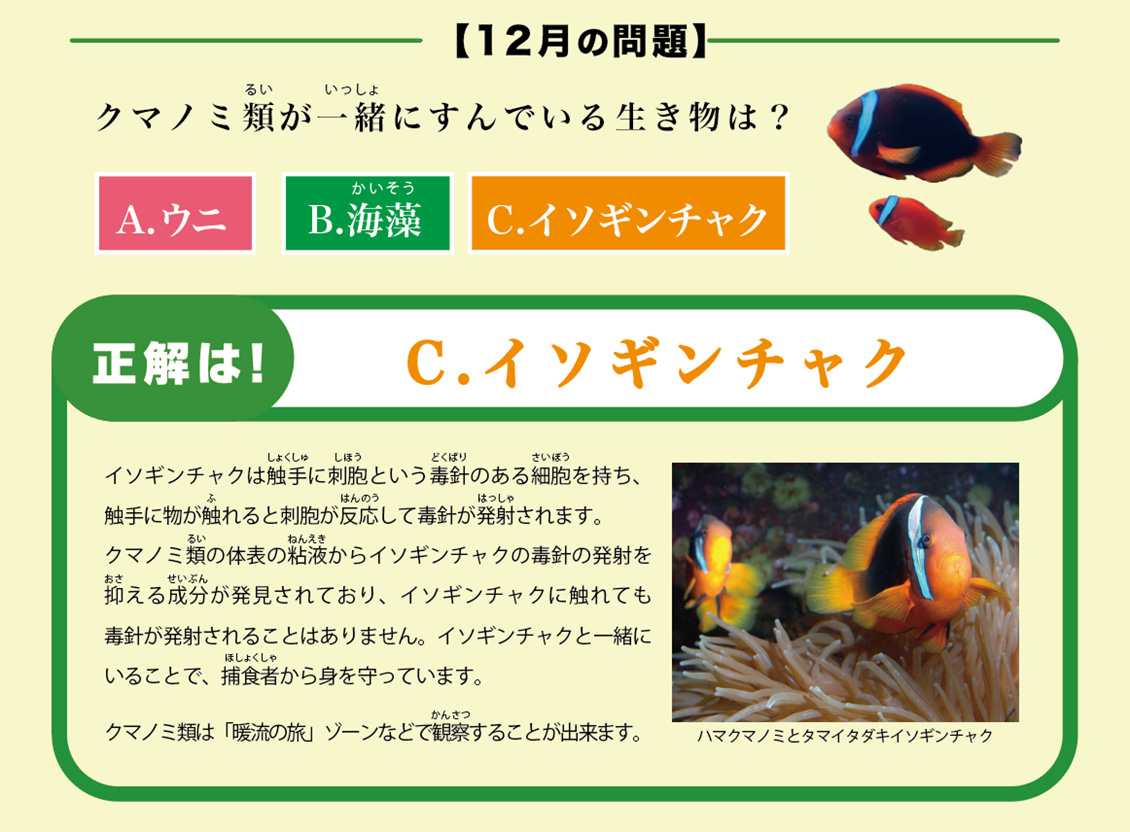 UX新潟テレビ21 オリジナルCM「マリンピアのいきものじかん」放送中
