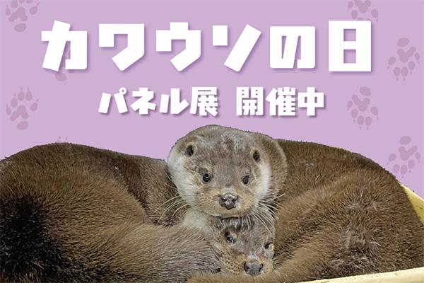 mode3_w600-2025カワウソの日s_1