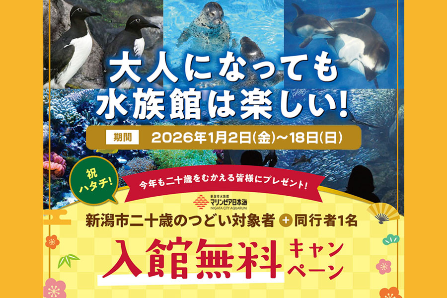予告）令和7年度 新潟市二十歳のつどい 対象者と同行1名様 入館料