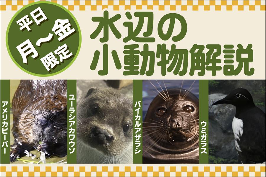 辰砂　天　8番　約15両　岩絵具　日本画 岩絵具の発色が一番良いのは和紙ではない | くるりの風景画 画材