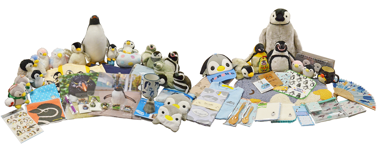 ペンギンの日 4/25～5/22 | マリンピア日本海の体験・学習イベント