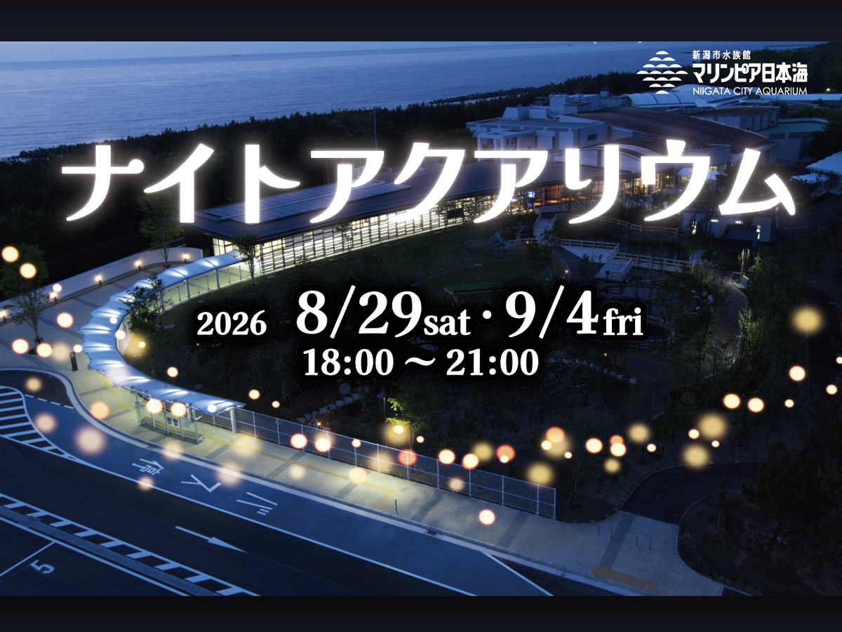 2026ナイトアクアリウム（8/29,9/4） | マリンピア日本海の体験・学習