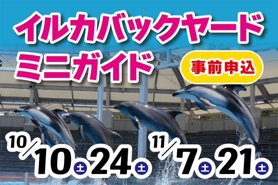 イルカバックヤードミニガイド | マリンピア日本海の体験・学習